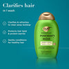 OGX Refreshing Scalp+ Rosemary Mint Conditioner 385mL