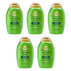 OGX Refreshing Scalp+ Rosemary Mint Shampoo 385mL Pack of 5