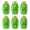 OGX Refreshing Scalp+ Rosemary Mint Shampoo 385mL Pack of 6