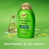OGX Refreshing Scalp+ Rosemary Mint Shampoo 385mL