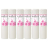 Enchanteur Romantic Talc 200g x6 Pack Perfumed Body Powder with Rose Jasmine