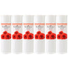 Enchanteur Enticing Perfumed Talc 200g x 6 Pack Silky Smooth Floral Body Powder