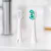 Colgate Total Battery Toothbrush Refill Heads 2 Pack