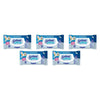 Sorbent Flushable Wipes Hypo-Allergenic 80s x 12 Bundle of 5