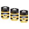 Vaseline Lip Therapy Queen Bee Lip Balm 7g x 8 Bundle of 3