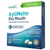 XyliMelts Mild Mint 40 Pack x 3
