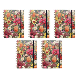 La La Land A5 Spiral Notebook 80 Pages Pack of 5
