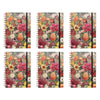 La La Land A5 Spiral Notebook 80 Pages Pack of 6