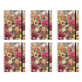 La La Land A5 Spiral Notebook 80 Pages Pack of 6