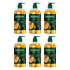 Palmolive Liquid Hand Wash Luminous Oils Mandarin 500mL x 3 Bundle of 6