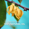 Palmolive Foam Hand Wash Luminous Oils Kelp 400mL x 3