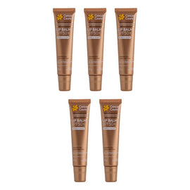 Cancer Council Lip Balm SPF50+ Vanilla Glaze 15g x 6 Bundle of 5