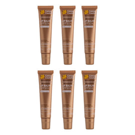 Cancer Council Lip Balm SPF50+ Vanilla Glaze 15g x 6 Bundle of 6