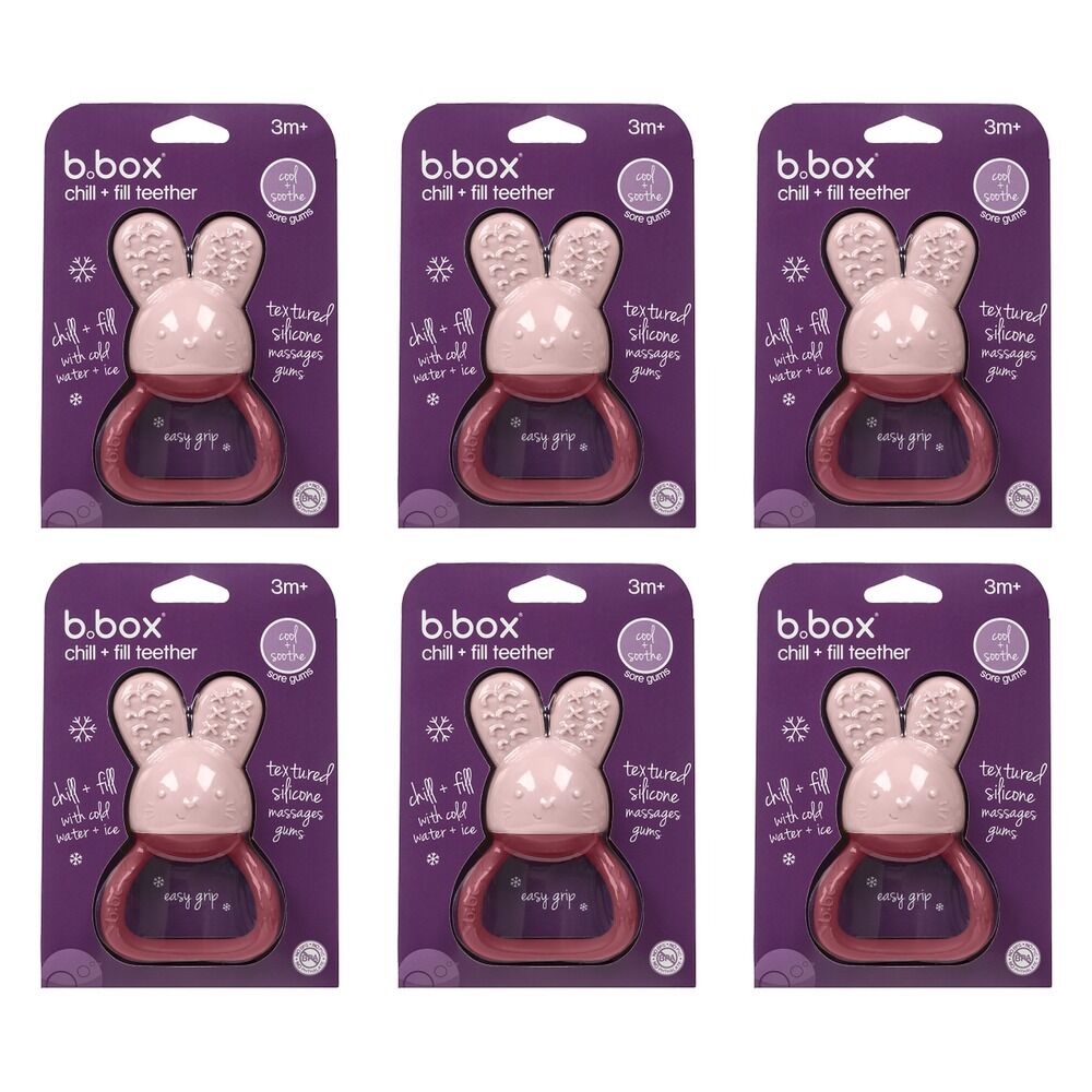 B.box Chill + Fill Teether - Blush Pack of 6