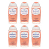 Femfresh Daily Intimate Wash 250mL Pack of 6