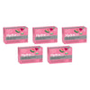 Hydralyte Watermelon Burst Flavoured Electrolyte Powder 24 Sachets Pack of 5