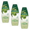 Palmolive Naturals Nourishment Active Shampoo 350mL Pack of 3