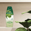 Palmolive Naturals Nourishment Active Shampoo 350mL