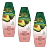 Palmolive Naturals Vibrant Colour Shampoo 350mL Pack of 3