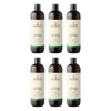 Sukin Botanical Body Wash Lime and Coconut 500mL Pack of 6