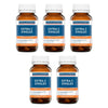 Ethical Nutrients Extra C Zingles Berry Chewable Tablets Pack of 5
