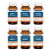 Ethical Nutrients Extra C Zingles Berry Chewable Tablets Pack of 6