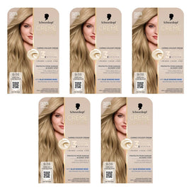 Schwarzkopf Creme Supreme 9-16 Cool Ash Light Blonde Hair Dye 245mL Pack of 5