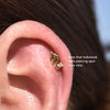 Culturesse Scorpio Helix Screw Back Earring (Gold Single Piece)