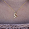 Culturesse Capricorn Diamante Pendant Necklace (Gold)